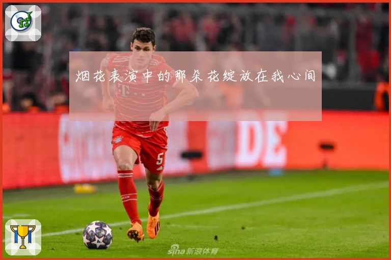 烟花表演中的那朵花绽放在我心间